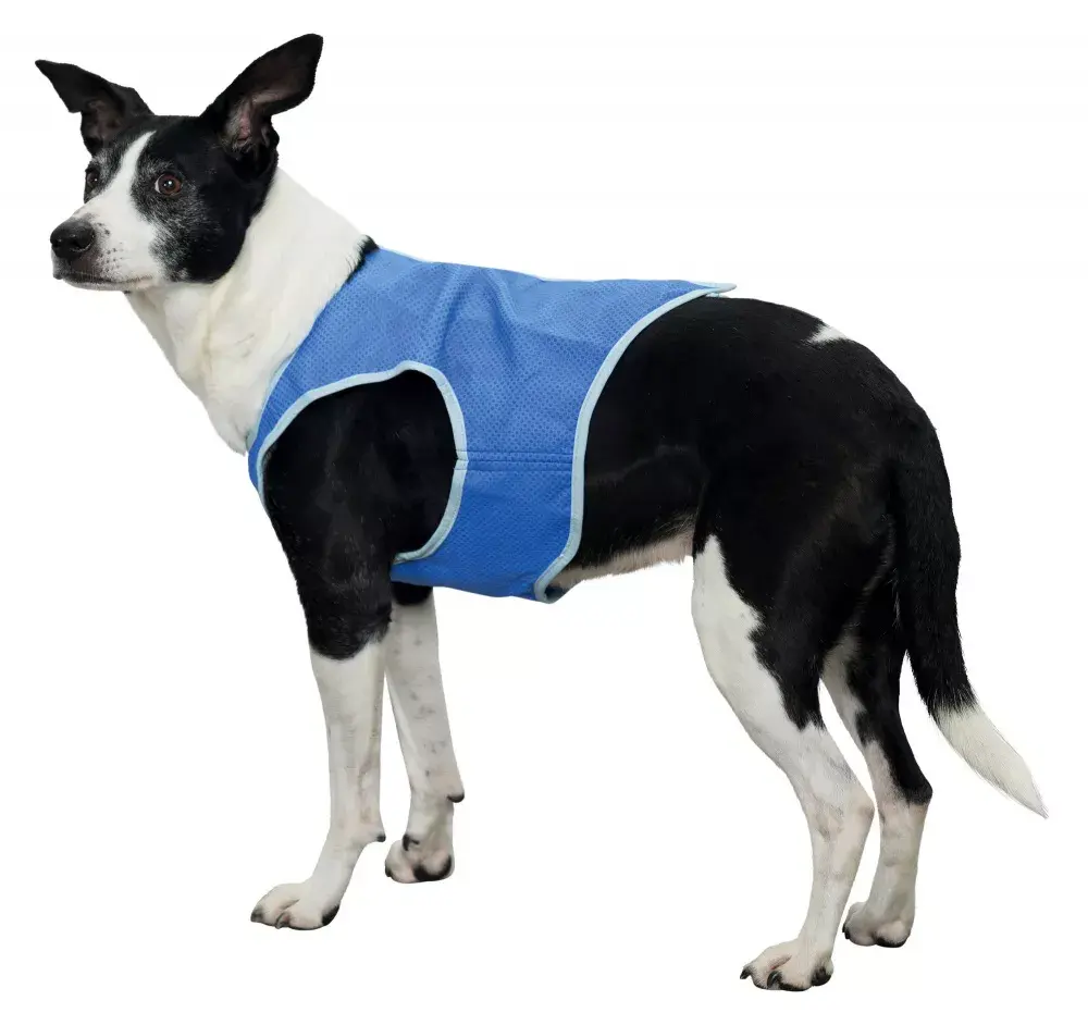 Jacket TRIXIE 30132 Photo 2