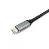 USB-C 4 in 1 Dual HDMI Adapter Equip 133484 Photo 3