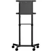 StarTech MBLTVSTNDEC mobilie TV ratiņi 37–70" Photo 2