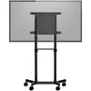 StarTech MBLTVSTNDEC mobilie TV ratiņi 37–70" Photo 5