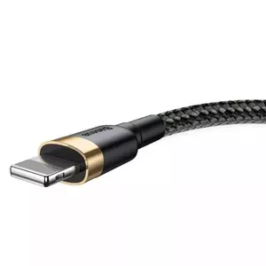 Lightning Cable Baseus CALKLF-RV1 3m Gold Black