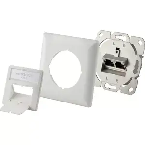 Розетка 2 x RJ-45 Renkforce RF-4393024