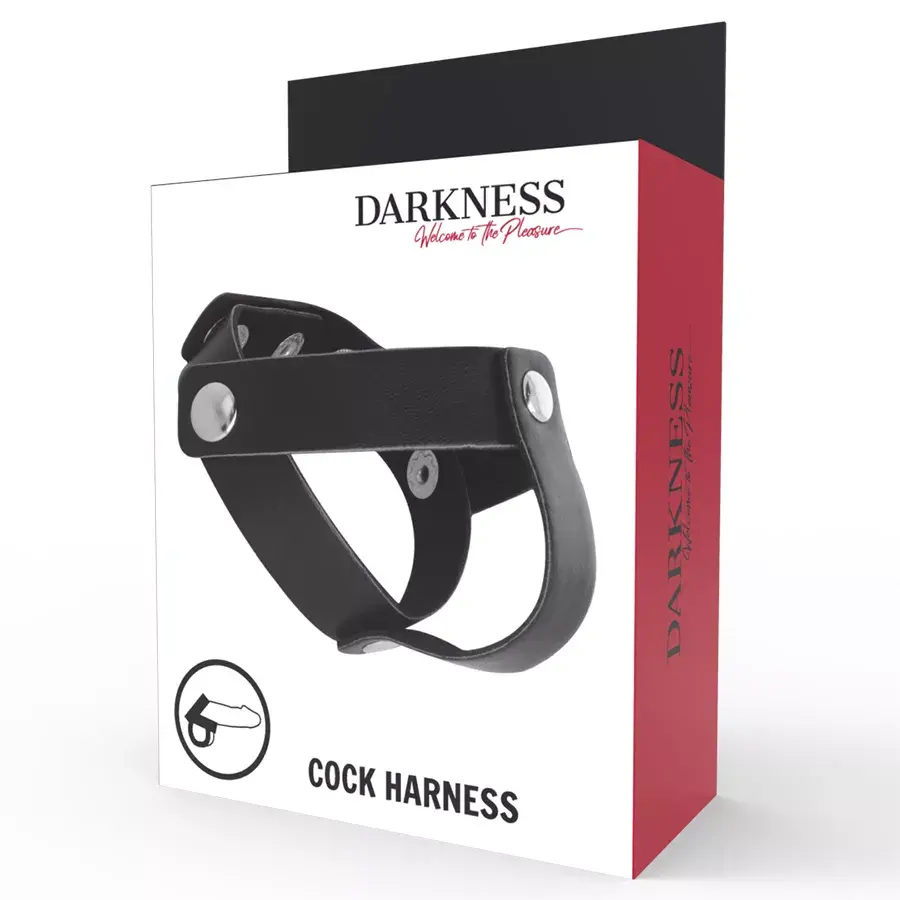 Кольцо для пениса и яичек DARKNESS D-221250 Photo 2