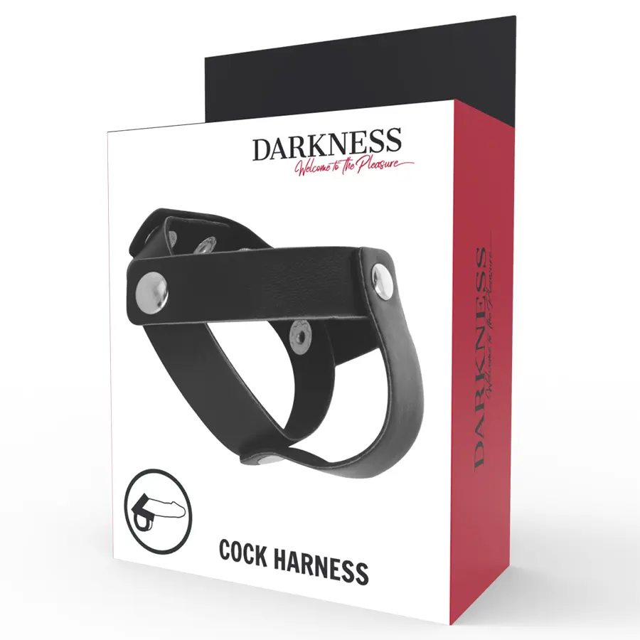 Кольцо для пениса и яичек DARKNESS D-221250 Photo 5