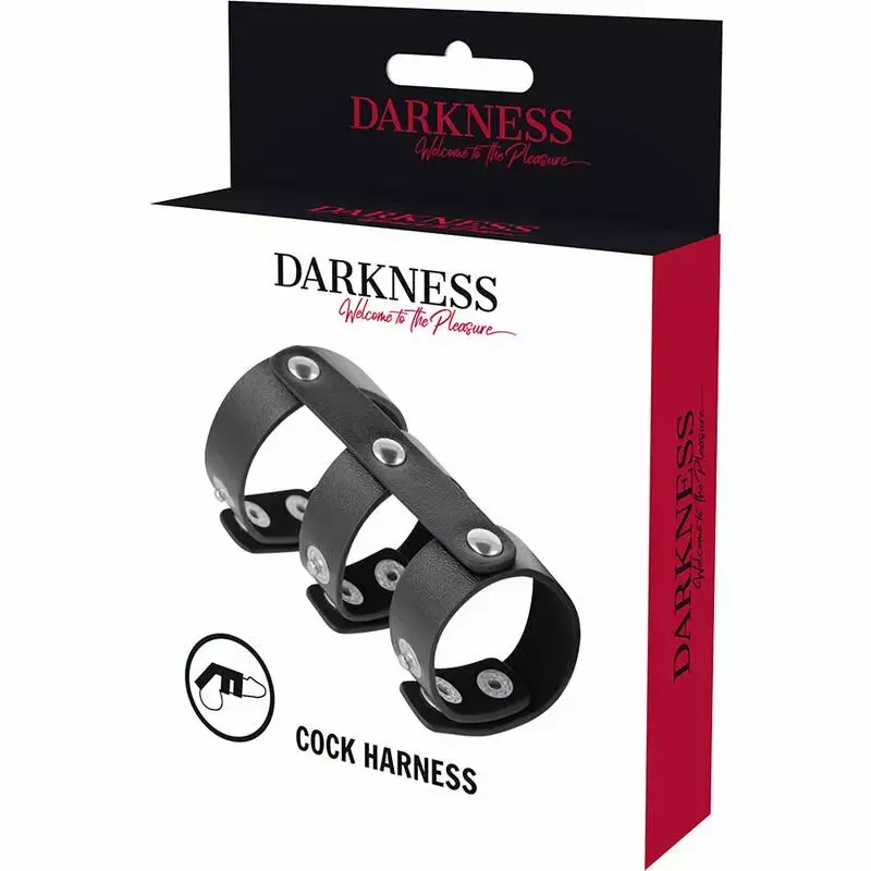 Кожаное двойное кольцо для пениса и мошонки DARKNESS D-226732 Photo 2