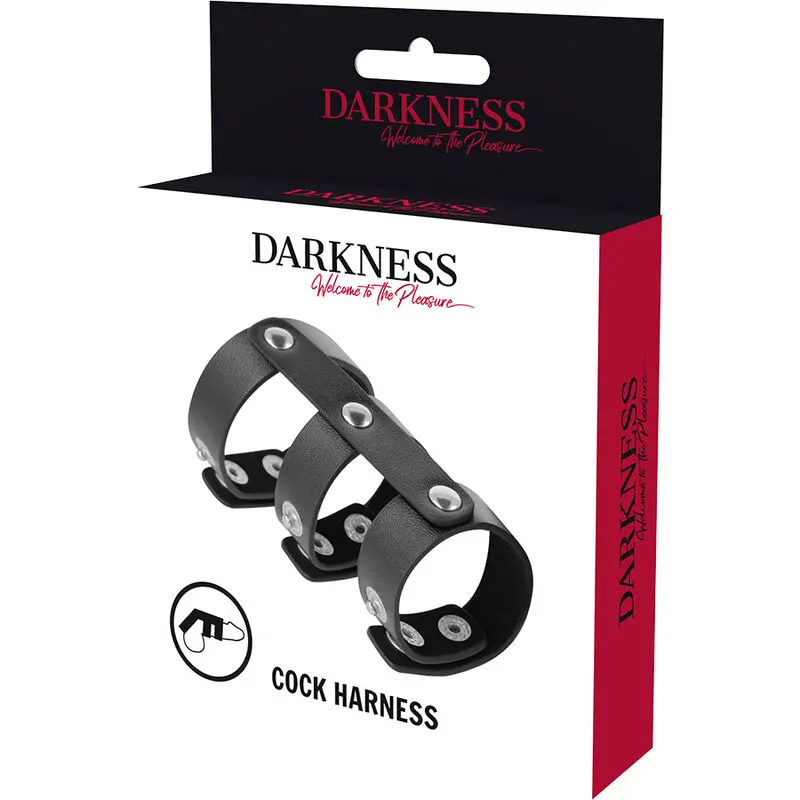 Кожаное двойное кольцо для пениса и мошонки DARKNESS D-226732 Photo 5