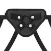 Strap-on x ray D-227440 Photo 5