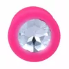 Anal Plug INTENSE SHELKI M Photo 3