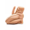 Masturbator Pipedream Bust Torso Photo 4