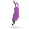 Rabbit vibrator INTENSE ROGER LILAC D-221068 Photo 3