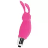 Vibrator INTENSE Rabbit Roger Rosa D-221069 Photo 2