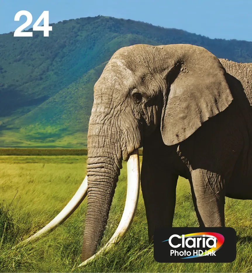 Epson 24 Elephant Claria Photo HD
