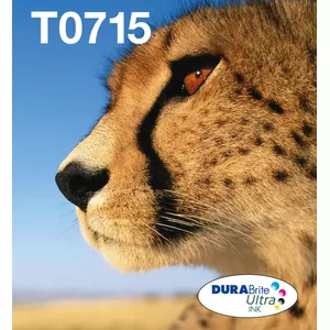 Epson T071 tintes kārtridžs 1 pcs Oriģināls Standarta produktivitāte Melns, Tirkīzzils, Fuksīns, Dzeltens