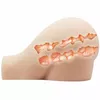 Masturbators Crazy Bull Modelis D-214866 Photo 9