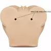 Masturbators Crazy Bull Modelis D-214866 Photo 10