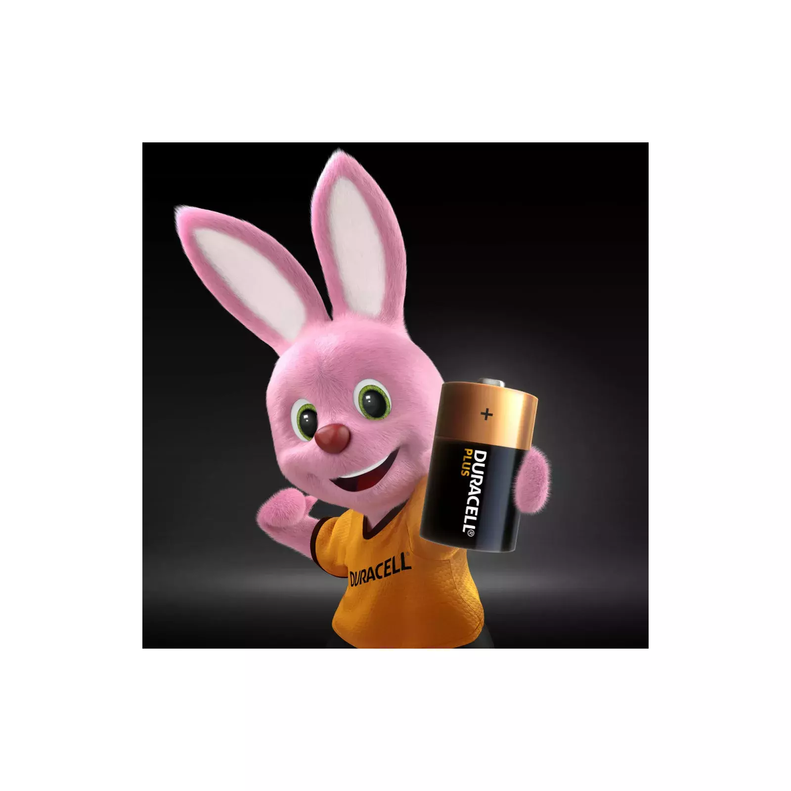 Duracell D-228026 Photo 2