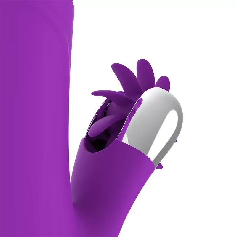 Vibrators Fun Function Bunny Funny Up & Down 2.0 Photo 7