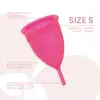 Menstrual cup INTIMICHIC D-213038 Size S Photo 3