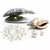 Jewelry BIJOUX Mimi Pearl Golden D55-22808 Photo 2
