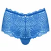 Obessive D-229109 кружевные шортики S/M Photo 5