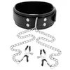 DARKNESS D-221156 Collar with Nipple Clamps Photo 3