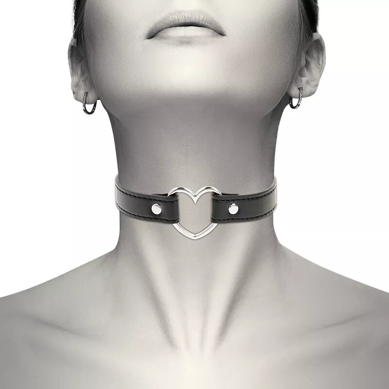 BDSM Collars & Leashes