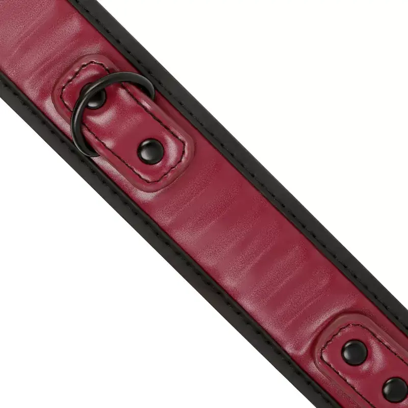 Leash and Collars FETISH SUBMISSIVE DARK ROOM NEOPRENE LINING CHAIN NECKLACE Photo 3