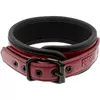 Leash and Collars FETISH SUBMISSIVE DARK ROOM NEOPRENE LINING CHAIN NECKLACE Photo 7