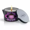 Masāžas svece Kama Sutra PASSION ISLAND 170 g Photo 2