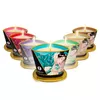 Свеча SHUNGA Rose Petal 170 мл Photo 3