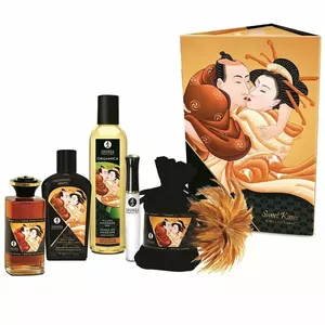 Набор Collection Kit Shunga Sweet Kisses D-224037 — интимный массажный набор с ароматными маслами и аксессуарами