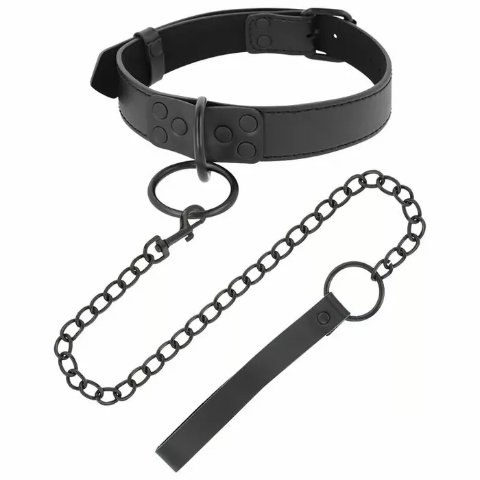 Leash and Collars