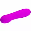 Vibrator Smart PRETTY LOVE SMART MINI REUBEN D-219488 Photo 6
