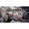 Полотно для сабельной пилы Bosch 2 608 900 406 Photo 4