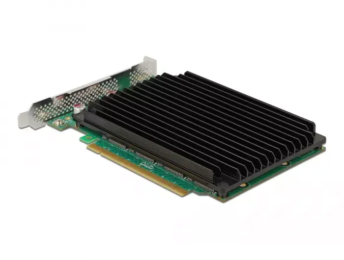 PCI Express x16 Card DeLOCK 90054 Photo 2