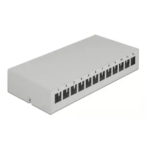Patch Panel DeLOCK Keystone 12 Port Grey