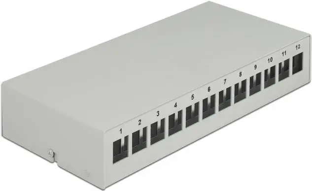 Pārejas paneļa DeLOCK Keystone 12 porti