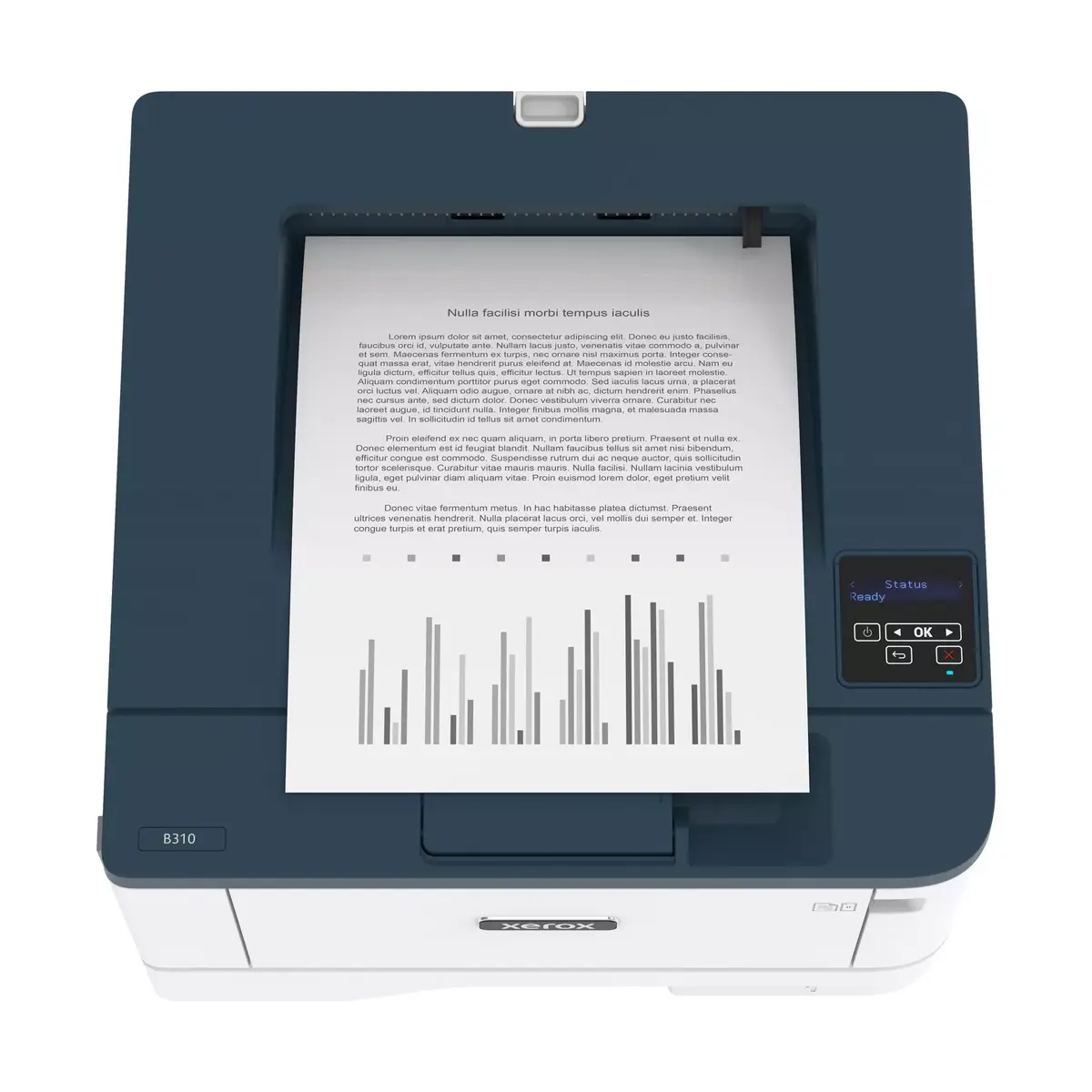 Принтер Xerox B310 Photo 2