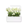 Sākuma komplekts Click & Grow White Snapdragon SGR78X3 Photo 3