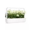 Sākuma komplekts Click & Grow White Snapdragon SGR78X3 Photo 4