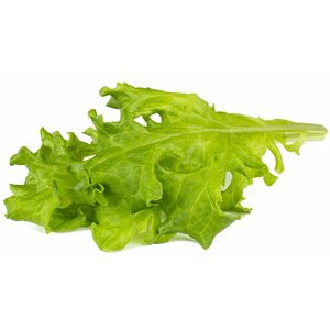 Click & Grow Smart Refill ozollapu salāti 3 gab.