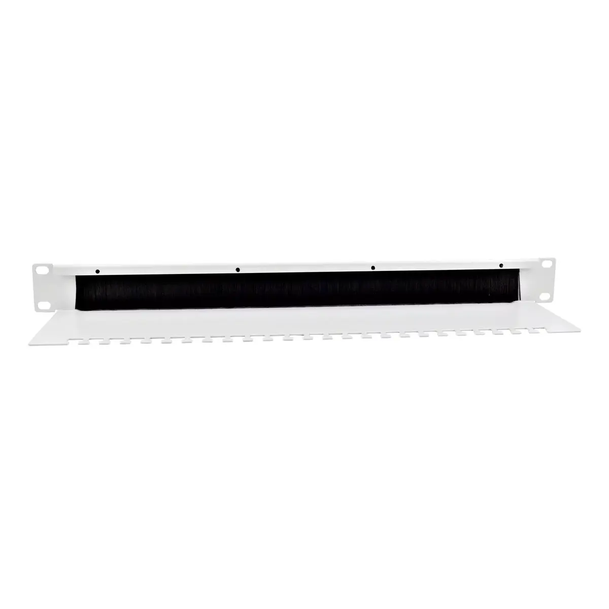 Brush panel Equip 19" Light Grey RAL 7035 Photo 2