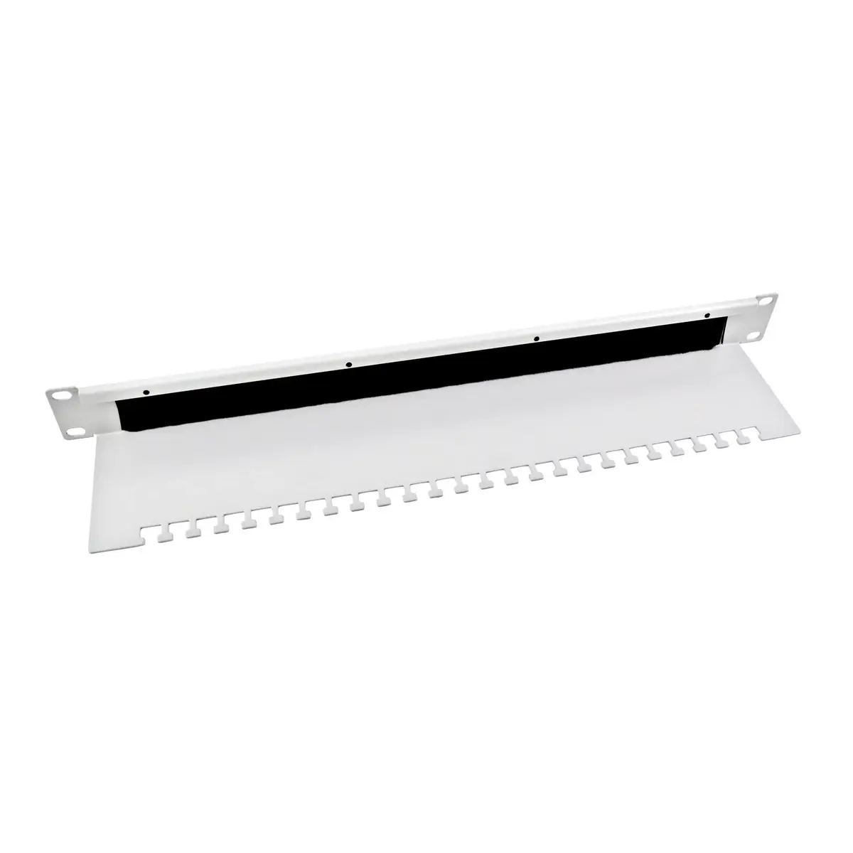 Brush panel Equip 19" Light Grey RAL 7035 Photo 3