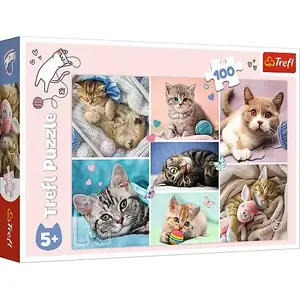 Пазл TREFL Cats World 100 деталей — 16420, картонные элементы, стандартный размер