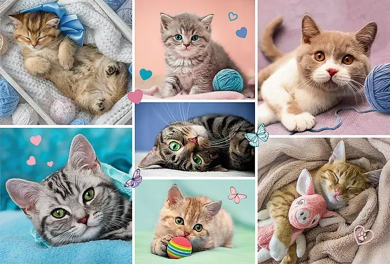 Пазл TREFL Cats World 100 деталей 16420 Photo 2
