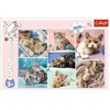 Пазл TREFL Cats World 100 деталей 16420 Photo 3