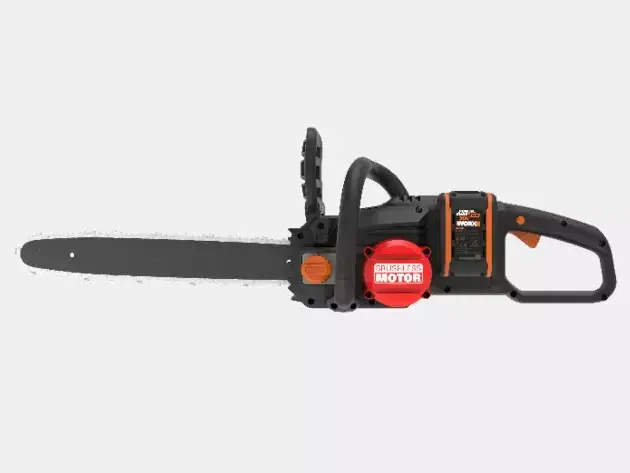 Пила WORX WG385E.9 Photo 3