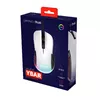 Pele Trust GXT 922W YBAR Photo 6