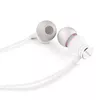 Austiņas Aiwa ESTM-50WT Photo 4