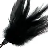 Feather pen DARKNESS D-221172 17 cm Photo 2
